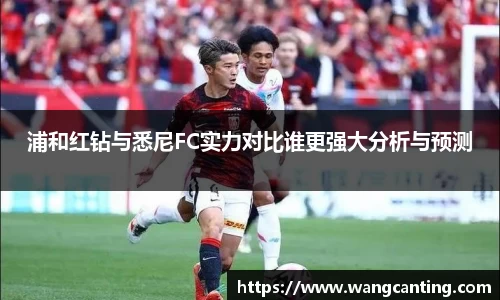 浦和红钻与悉尼FC实力对比谁更强大分析与预测